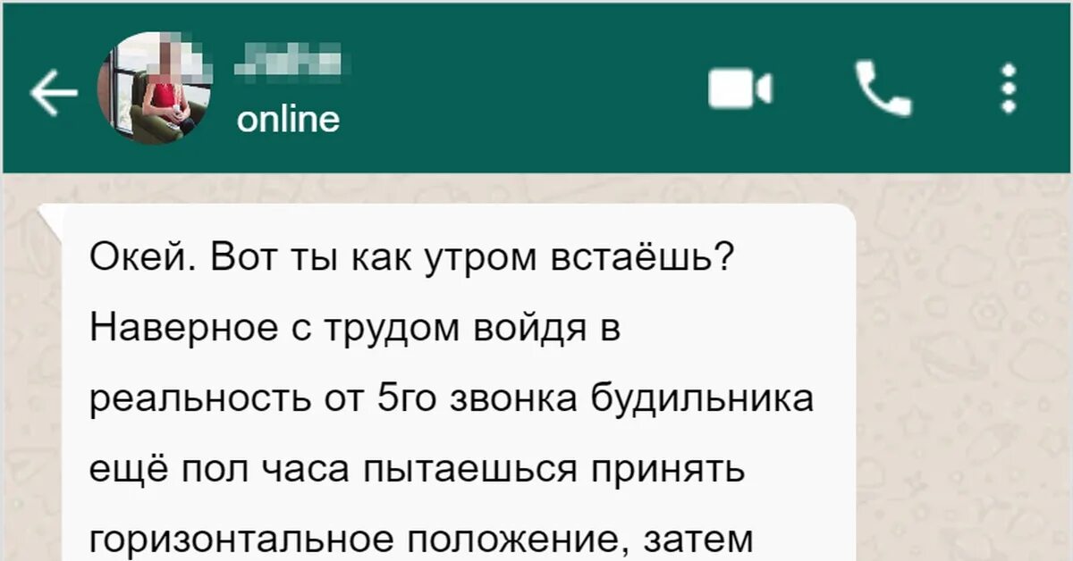 Джун магазин на русском. Джун прикол. Джун тестирует. Юмор тестировщиков о багах.