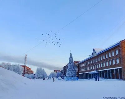 Прогноз инта