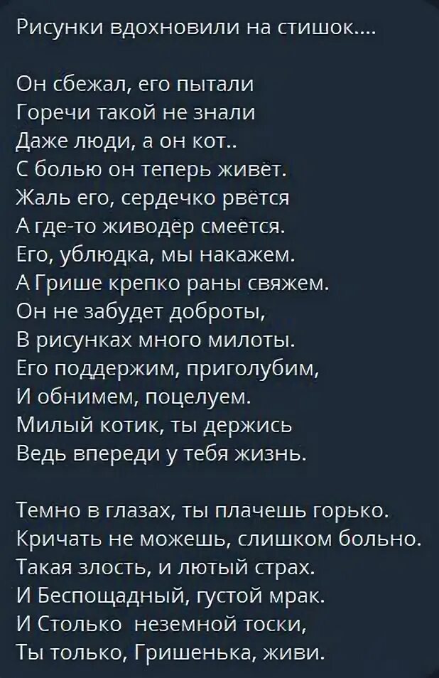 кусочек счастья для бездомной отзывы