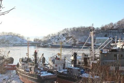 Петропавловск январь