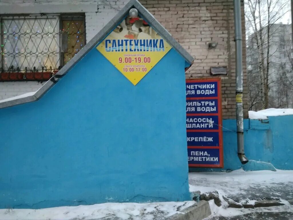 розы люксембург 21