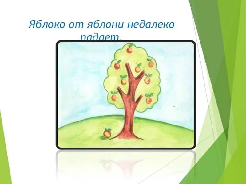 Пословица яблоня от яблони недалеко падает. Пословица яблоко от яблони недалеко падает. Яблочко от яблоньки недалеко падает. Пословица яблоко от яблони. Яблоко от яблони недалеко падает рисунок.