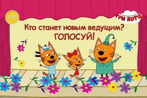 3 кота конкурс