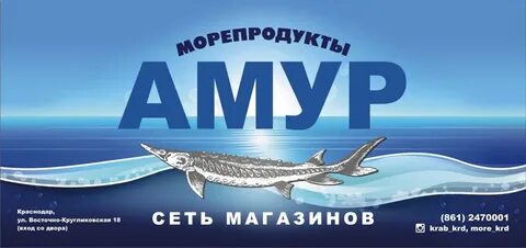 Компании дв