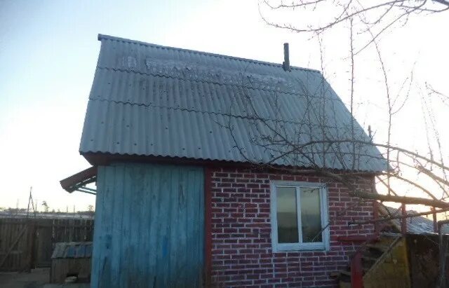 Погода в снт лена. Погода в снт лена. Снт новоропшинское. Дачный участок. Погода в снт лена.