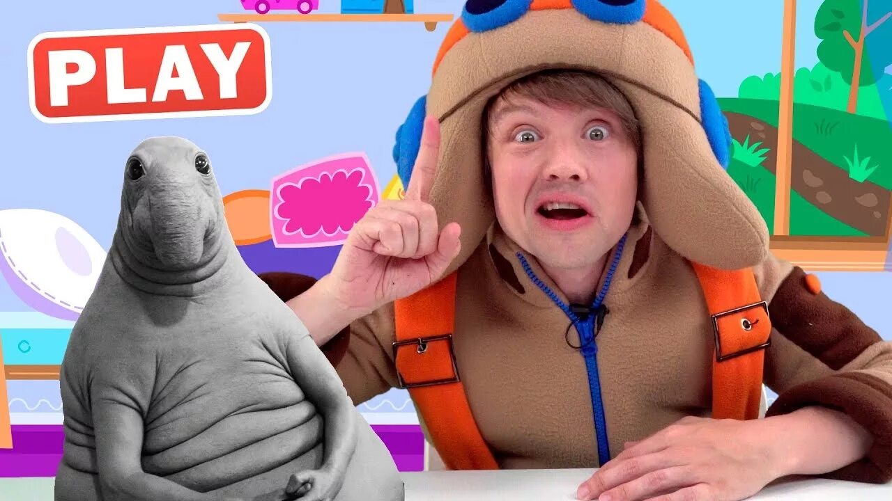 Куку play. Кукутики пилот. куку плей кукутики. куку play - поиграйки и развивайки c кукутиками. алиса куку плей.