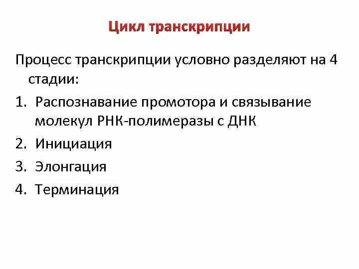 Цикл транскрипции