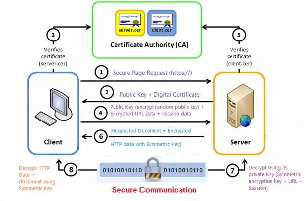 SSL сертификат схема. SSL/TLS схема. TLS сертификат. Схема сертификатов .Key.