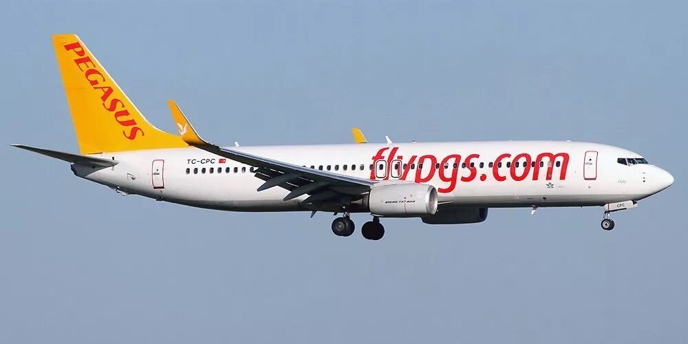 Авиалинии пегасус. Авиакомпания pegasus airlines. авиакомпания пегасус эйрлайнс. пегасус турция авиакомпания. пегасус эйрлайнс самолеты.