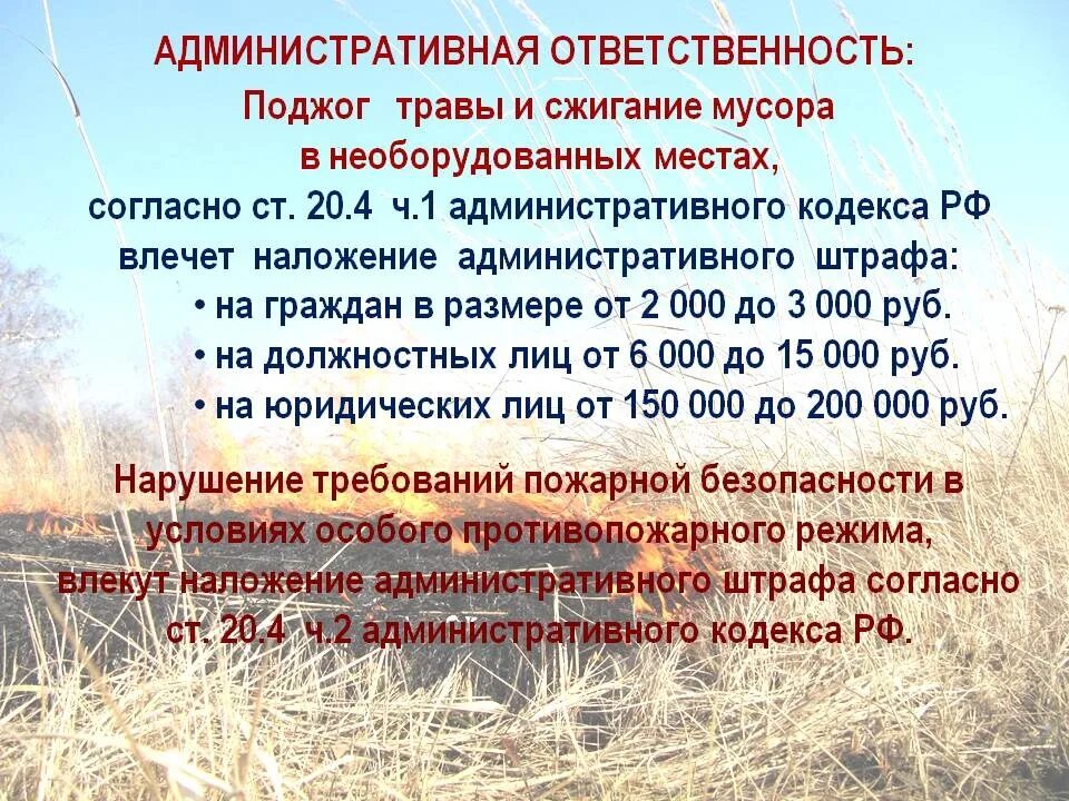 Ответственность за поджог травы. Ответственность за нарушение ппб. Поджог статья. Ответственность за поджог. Пал травы памятка.