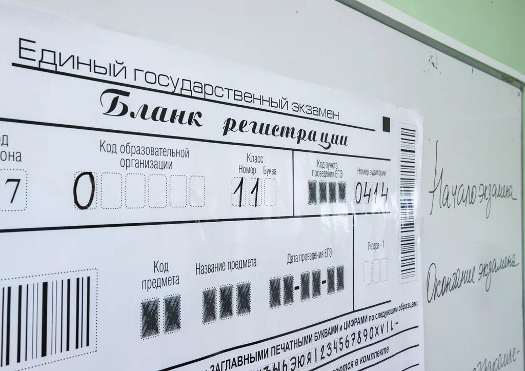 Как тепляковы сдают егэ. Алиса теплякова сдала егэ.