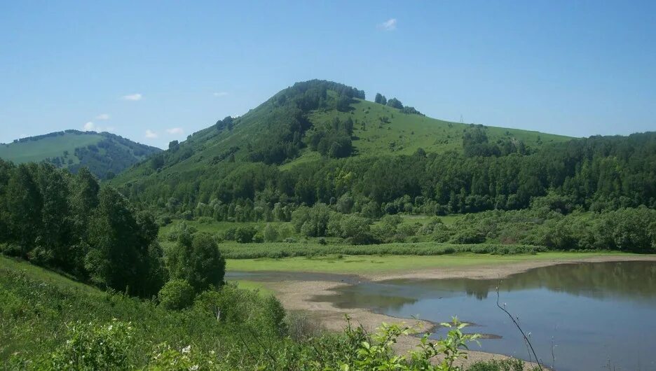 Предгорье сайт смоленского. Алтайский край предгорье. Село Елиново Солонешенский район Алтайский край. Парк предгорье Алтая. Сибирячиха Солонешенский район Алтайский край.