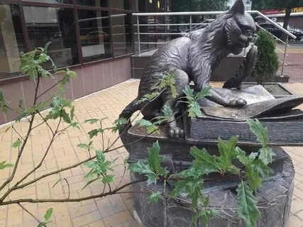 Ученый кот ростов