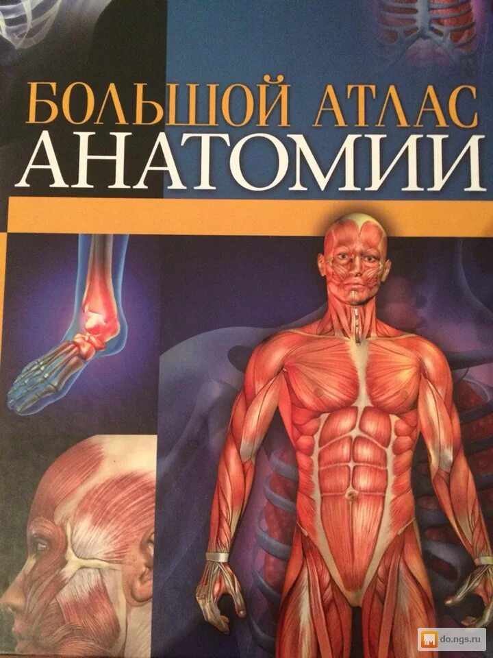 Анатомия человека иллюстрированный атлас Кассан. Большой атлас анатомии. Атлас анатомия и физиология человека. Большой атлас по анатомии. Атлас студентам анатомии