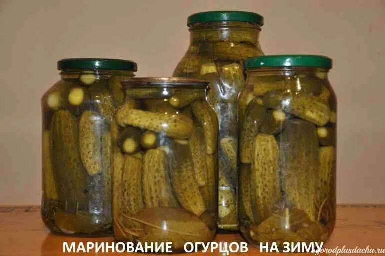 Гвоздика для соленых огурцов. Огурцы маринованные на зиму хрустящие. Рецепт огурцов с гвоздикой. Огурцы корнишоны на зиму. Рецепт огурцов с гвоздикой.