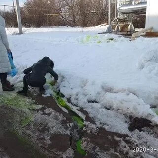 Заливает зеленым