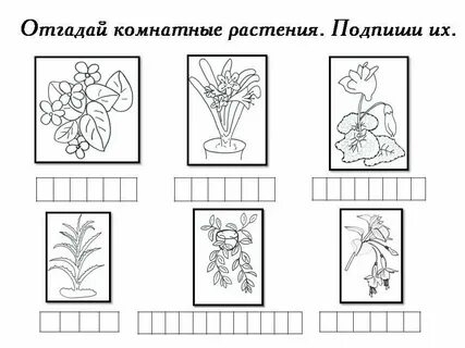 Цветок на земле рабочий лист 3 класс