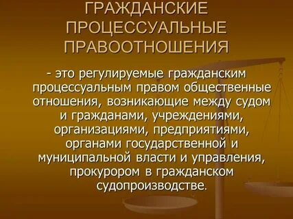 Гражданская процессуальная форма это