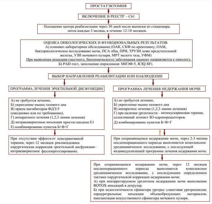 Недержание мочи после простатэктомии. Простатэктомия реабилитация после операции радикальная. Энурез план реабилитации. Линии терапии эректильной дисфункции после простатэктомии. Васкулогенная эректильная дисфункция.