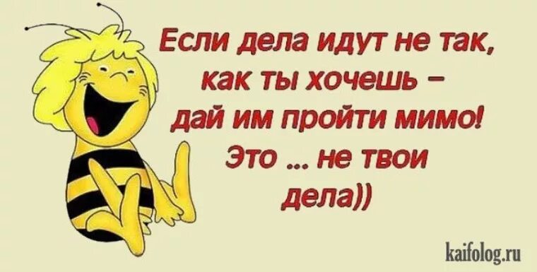 Хочешь дам попробовать. Позитивные шутки. Позитивные анекдоты. Позитив анекдоты в картинках. Юмор смех приколы шутки позитив.