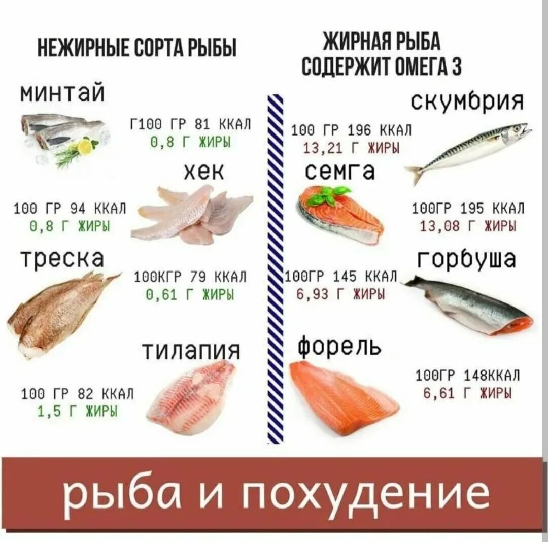 Тилапия кбжу