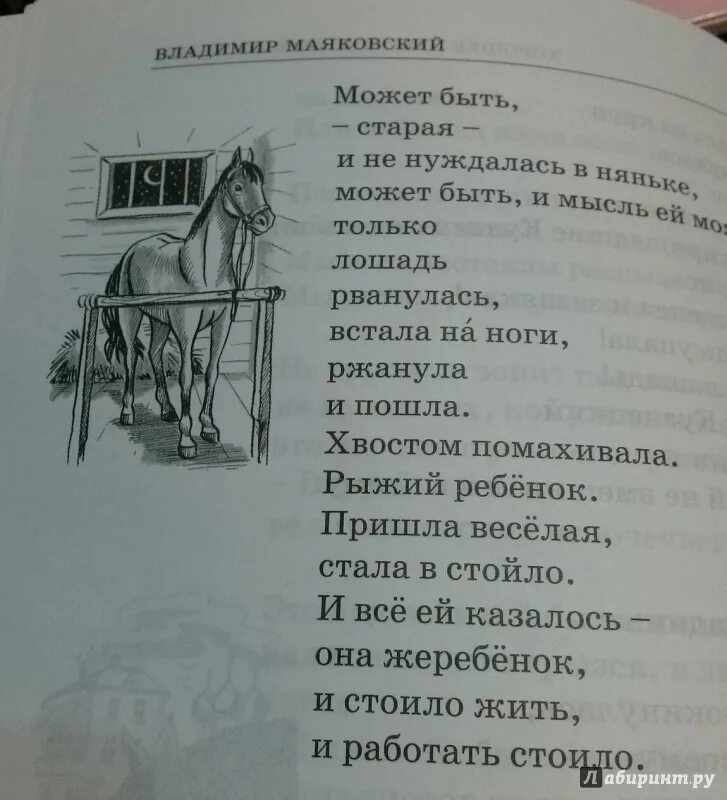 Маяковский стихи город. Стихотворение Маяковского о родине. Маяковский в. "стихотворения". Стихи Владимира Маяковского.