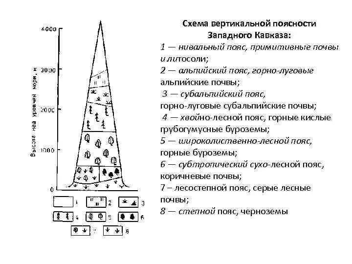 Высотная поясность Западного Кавказа схема. Схема ВЫСОТНОЙ поясности Кавказа. Высотная поясность Кавказа. Высотная поясность кавказских гор схема.