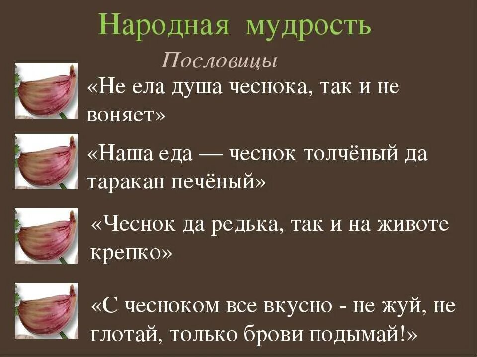 Как правильно есть чеснок. Шутки про чеснок. смешные поговорки про чеснок. чеснок польза. лук чеснок приколы.