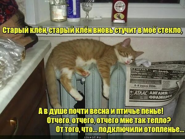 А почему так тепло. Отчего отчего отчего мне так тепло. отчего отчего отчего мне так тепло оттого что я стою у батареи. от чего, от чего мне так тепло.
