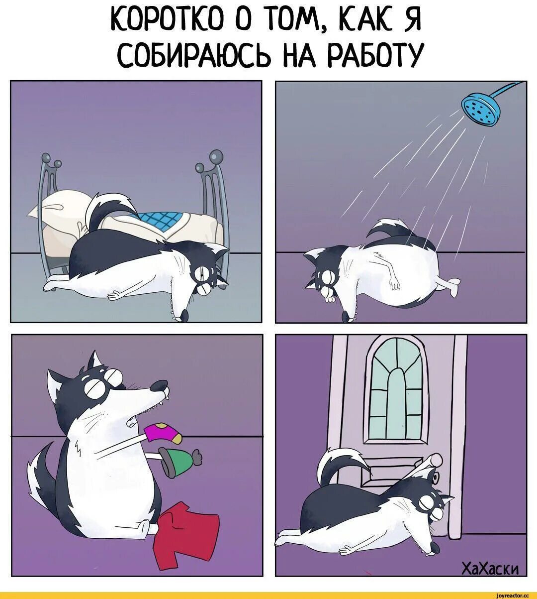 Утром на работу ехал. Хахаски утро. Хаски комикс. Собираюсь на работу. Юмористические комиксы.