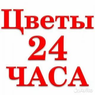 Цвету 24 часа
