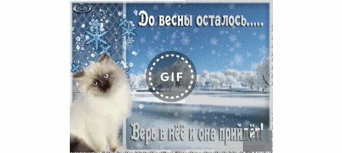 Сколько суббот до зимы