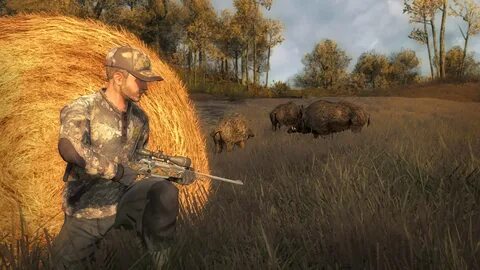 Игра вилд хантер