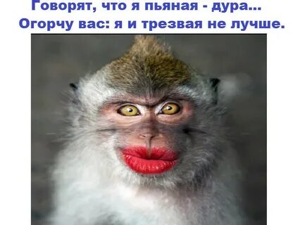 Говорящие что я пьян