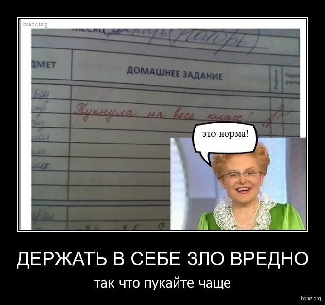 Пукаю воняет. Домашняя работа шутки. Где домашнее задание.