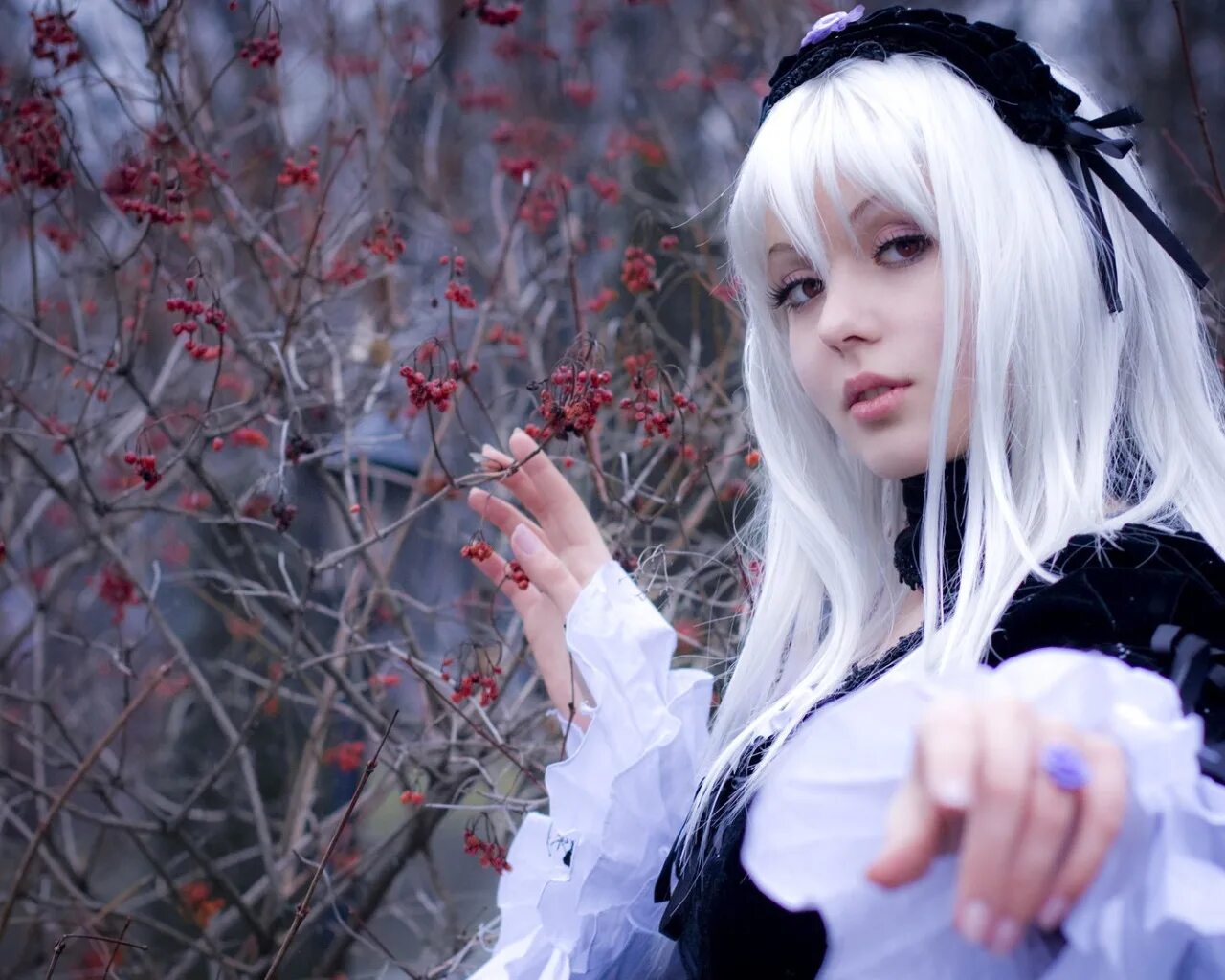 White cosplay. Суигинто косплей. Суйгинто косплей. Девушка с белыми волосами. Девушка с белоснежными волосами.