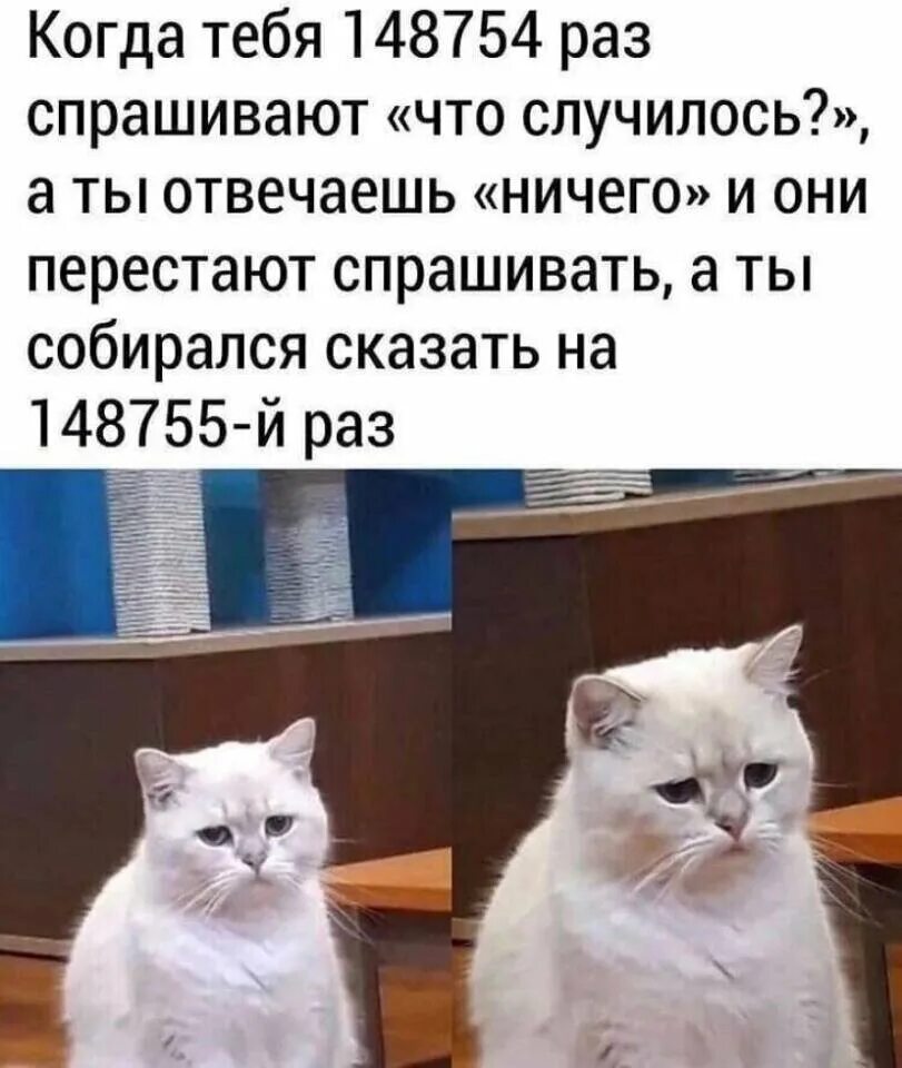 Сколько ты зарабатываешь. Да я собственно и не собиралась позориться. Открытка зарплата а я и не собирался позориться. Не собираюсь рассказывать. Высказывания про платья.