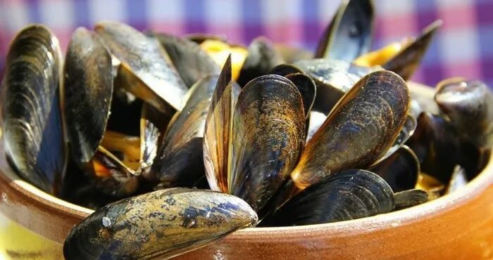 Mare мидии. Мясо мидии без глазури. Мидии польза и вред для организма человека. Мидии полезные свойства. Классификация мидии.
