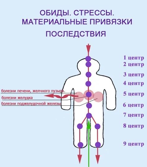 Пять ошибок человека. Эниология энергоцентры. энергоцентры человека. привязки к материальному. точка сборки в эзотерике.