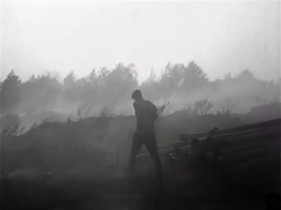 Шатура 1972 год. Засуха в ссср (1972). Пожар 1972 года. Лесные пожары в подмосковье в 1972 году. Пожар 1972 года.