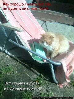 Ну сижу отдыхаю
