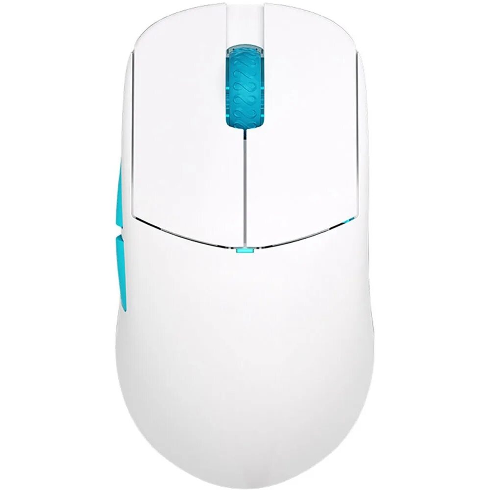Lamzu og v2. Lamzu og v2
