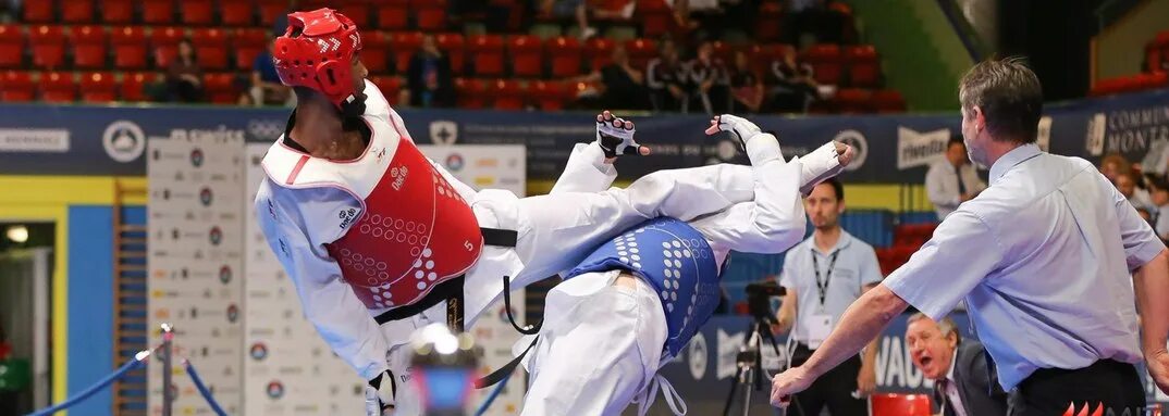 Traditional Taekwondo Union. Тхэквондо 2016