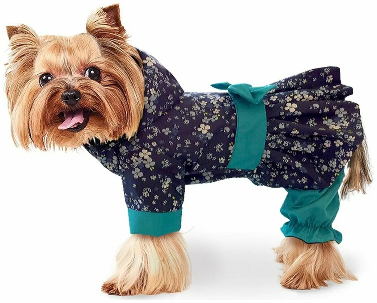 Дождевик для собаки девочки. Formydogs дождевик для собак девочек фламинго. Дождевик formydogs chihuahua. Formydogs дождевик цыпленок. Дождевик для собаки девочки.