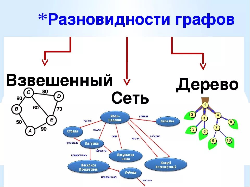 Типы графа в информатике. Схемы графы. Виды графов в информатике