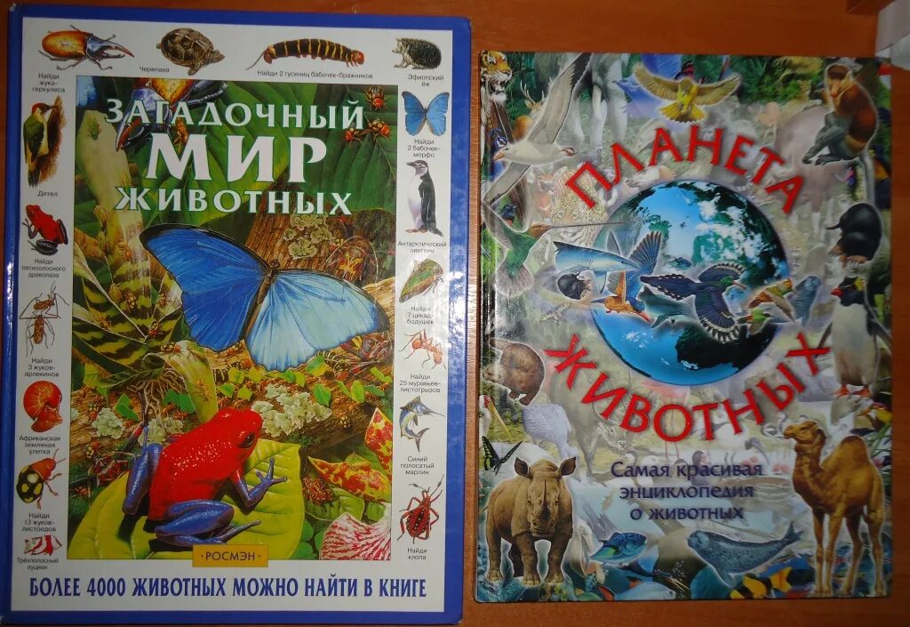 Загадочный мир животных Росмэн. Энциклопедия животный мир Росмэн. Энциклопедия загадочный мир животных Росмэн. На поиски животных книга. Загадочный мир книга