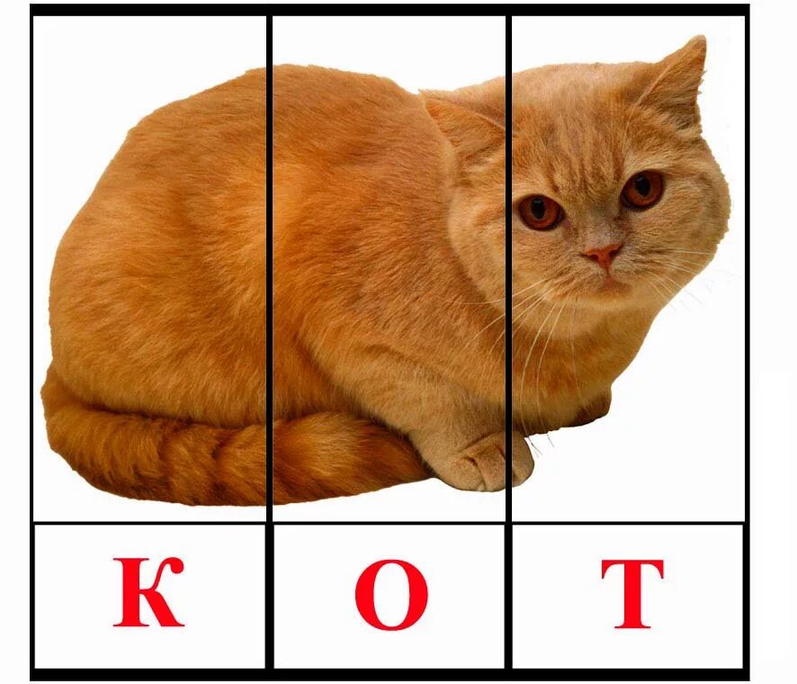 Азбука в картинках. По маленьким буквам собирали. Азбука. Сложи из палочек букву м. Буква ш.