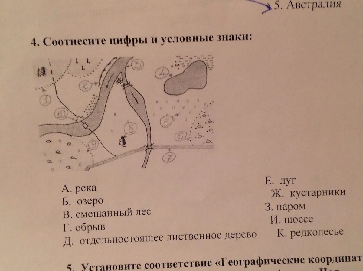 Условные знаки австралии. Смешанный лес и цифры условный знак. Условные обозначения на карте. Условные знаки по географии 5 класс план местности. План местности 5 класс география.