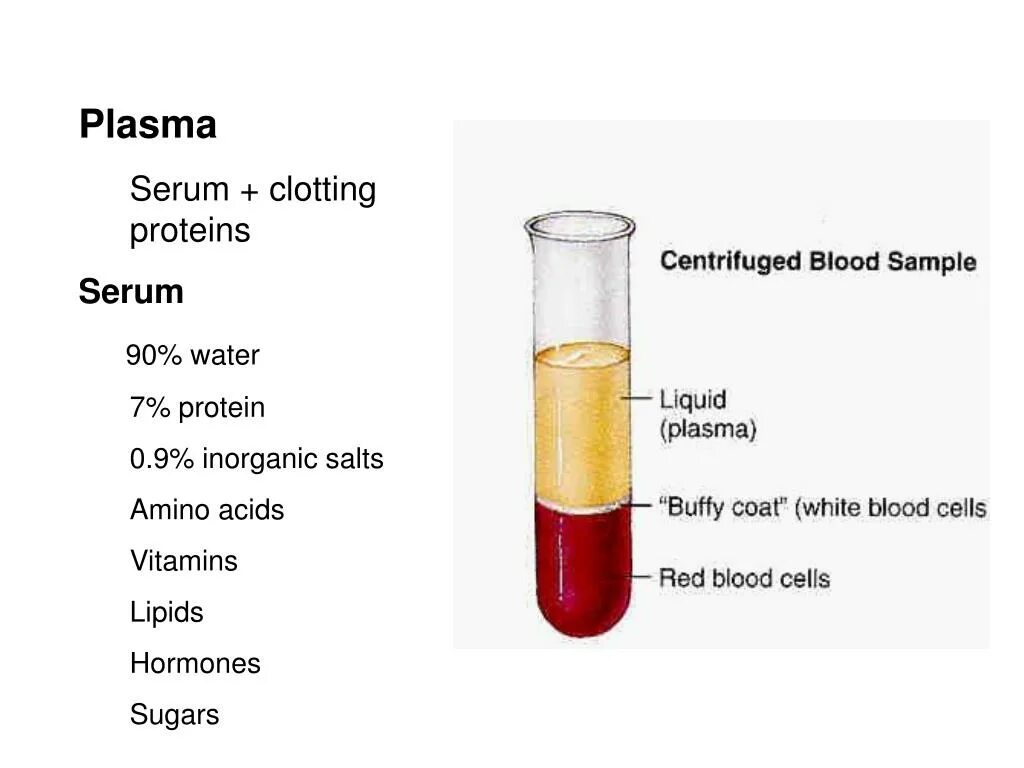 Plasma vs Serum. Сыворотка крови. Плазма крови. Мутная сыворотка крови.