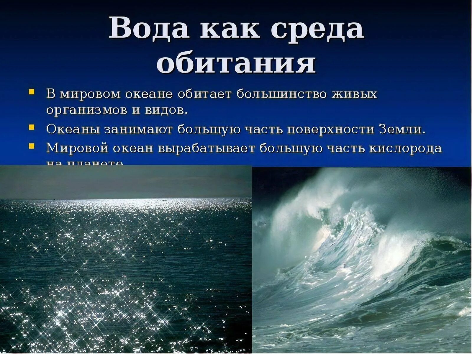 Вода как среда обитания. Презентация на тему водная среда.. Вода среда обитания презентация. Живые организмы водной среды обитания.